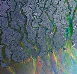 Alt-J: An Awesome Wave (Infectious)
