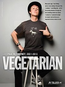 PAUL McCARTNEY SOLO CAREER PART 4, 2000 - 2010: Here, there and everywhere