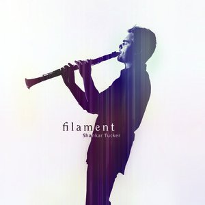 Shankar Tucker: Filament (shankartucker.com)