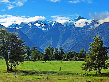 THIS LAND IS YOUR LAND, THIS LAND IS . . . (2011): New Zealand in the eye of the beholder