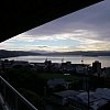 And that would be Wellington Harbour, just after dawn.
