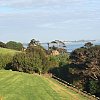 Bedroom window on Waiheke, an island near Auckland, New Zealand (wild rabbits not pictured)