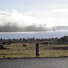 Lake Brunner in New Zealand's South Island as the sun burns off the mist over the lake. From Lake Brunner Lodge, a century old luxury hotel with a view like the Scottish Highlands, cattle in the foreground.