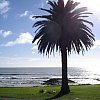 At Cable Bay in Northland, New Zealand. This taken out the sliding door after two days of torrential rain and a seven hour power cut. Couldn't go out, couldn't eat (all restaurants closed), read by the light of our cellphones. Nice place though.