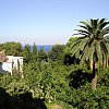 View of the Bay of Naples from one of the finest small luxury hotels in the world, the gorgeous and historic Grand Hotel Cocumella in Sorrento.
