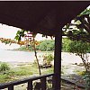 View from the verandah of a beach bungalow on Ko Samet, Thailand. Overweight German women who arrived and lay in the sun turning lobster red not pictured.