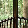 View of the tropical rainforest from a cabin at Coconut Beach Rainforest Lodge, Cape Tribulation in north Queensland, Australia.