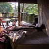 John Nott who built Rose Gums Wilderness Retreat in a private slice of tropical rainforest in the Atherton Tablelands, Australia said you could see 64 species of birds from this deck by breakfast. I think he was two out.
