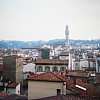 Siena, taken from the precarious tiles of the roof outside a room that was three floors up, then a climb, then a ladder. A struggle with a suitcase -- but the view at dusk was worth it.