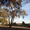 View through the fly-screen at the Blinman Hotel in remote Blinman, South Australia. Population, 15 in Blinman itself, 22 in the greater Blinman area according to the publican Tony.