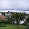 At the very beautiful Kiahuna Plantation Resort on the island of Kaua'i in the Hawaiian Island chain. Superb restaurant in the old plantation house, and even better cocktails. The beach is just at the base of those palms.