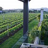 The luxurious and exclusive (four suites only) Takatu Lodge and Vineyard near Matakana, just north of Auckland NZ. Much recommended in Elsewhere