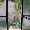 Through the bathroom window of a rental house in San Telmo, Buenos Aires