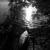 Dawn at Eumarella Shores, a bush retreat at Lake Weyba near Noosa, Australia