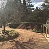 Reflecting on Stuart and Yvonne's garden, Bowral south of Sydney, Australia