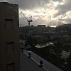 Morning in Wellington, New Zealand