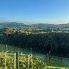 From Cable Bay Views on Waiheke, an island east of Auckland, New Zealand