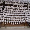 White lanterns at the old Buddhist temple in central Seoul, South Korea.