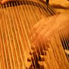 Hands of a gayageum player in Seoul. The gayageum is a traditional Korean stringed instrument once played in the royal courts but now popularised through the fusion gugak movement which emerged in the 80s, traditional instruments alongside synthesisers.