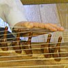 The hand of master gayageum player Byungki Hwang who rescued the instrument and the traditional music of Korea from being lost after the war.