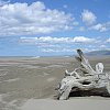 The coast at tiny Herbertville near Cape Turnagain on the east coast of the lower North Island of New Zealand, a small seaside resort with the best beach on the Hawkes Bay coastline south of Napier