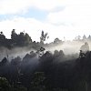 Morning at Waipari Lodge, a remote 10,000 acre, deer-filled region of native bush south of Taupo in New Zealand's North Island. Lotsa goats, and good fishing too. Hunter's paradise.