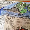 A watercolour page and ink script from a journal illustrating a walking journey through marshes and beaches near the west coast of Auckland, New Zealand. (For my friend Guy: see Absolute Elsewhere)