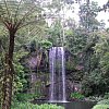 Milla Milla Falls in the Atherton Tablelands, northern Australia.