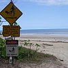 Even paradise has its problems, as witnessed by these signs at beautiful Coconut Beach in northern Queensland. But who knew stingers (jellyfish) endorsed vinegar?