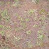 Drifting a few thousand metres above the tableland in north east Queensland you see a landscape of Aboriginal dot paintings. The more you see the more you respect the culture.