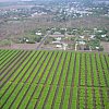 Symmetry --- and then the suburbs. In the Atherton Tablelands of Tropical North Queensland, Australia. A balloons-eye view.