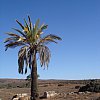 At Kanyaka Station north of Adelaide, South Australia. Founded in 1860 by the Phillips family and abandoned in 1880 after years of drought. The post office here handled 23,000 letters in 1862.