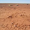 Near the Andamooka opal fields in the desert around Lake Torrens -- which isn't a lake, but an enormous patch of salt, half a metre thick in places. Take your own water, there ain't none anywhere around here.