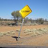 In the arid desert you get strong hints of what happens when the rains come.