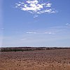 Dry, seemingly empty and astonishingly beautiful. The desert north of Uluru