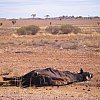 Another roadside attraction between Alice Springs and Uluru
