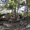 Skeleton of a DC-3 which crashed short of a runway in 1945 killing all six on board. Near the tip of Cape York Peninsula in Queensland's far north