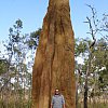 Yep, that's a 9 metre high termite mound (termite tower?) on York Peninsula in Queensland's far north.