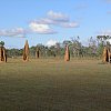 A typical field of termite mounds, Queensland's far north