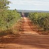 And the road goes on forever, in Queensland's far north on the way to Cape York