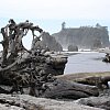 Ruby Beach in northwest Washington  about an hour south of two oddly named towns: Sappho and Beaver. We didn't stop to ask.