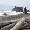 A weather-beaten beach of the North Pacific on the coast of Washington state.