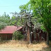 Another roadside attraction. Yet another abandoned house in Georgia, this near Athens.