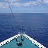 The endless south west Pacific Ocean between New Zealand and Vanuatu, taken from the bridge of the Pacific Sky. Every day much the same view according to the captain.