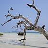 Lopi Beach on Vanuatu where time seems to stand still.