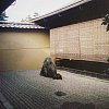 The simplicty of a Zen garden in Kyoto. To the left out of view however were about 60 Japanese men chatting away noisily -- not exactly enhancing the solitude, and making it impossible to contemplate in silence. But as Zen poets say, "Ha!"