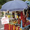 Another roadside attraction, this on the winding road around the Amalfi Coast, Italy. The food was cheap and if you bought something the photo was free.