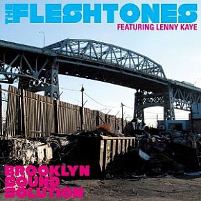 The Fleshtones (featuring Lenny Kaye): Brooklyn Sound Solution (YepRoc)