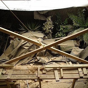 Life in a leaky building: a survivor's tale