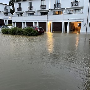 WHEN THE RAIN COMES: Memory and loss
